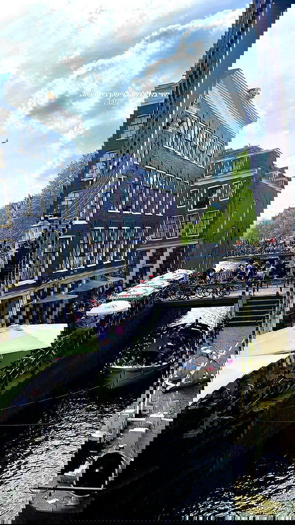 maayan.shaibi image ~ Altpins