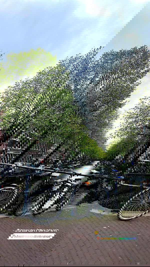 maayan.shaibi image ~ Altpins