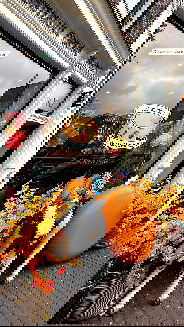 maayan.shaibi image ~ Altpins