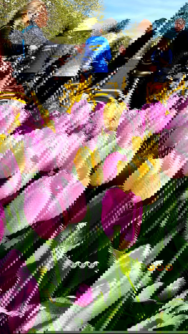 maayan.shaibi image ~ Altpins