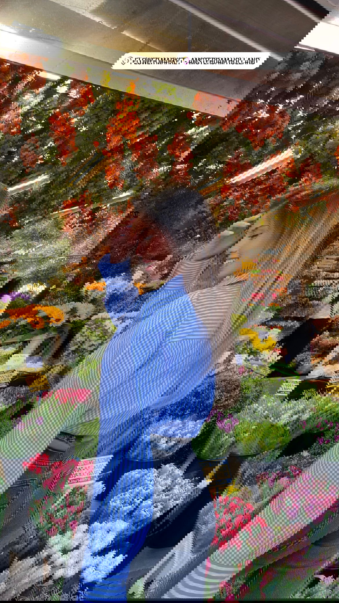 maayan.shaibi instagram image archive image