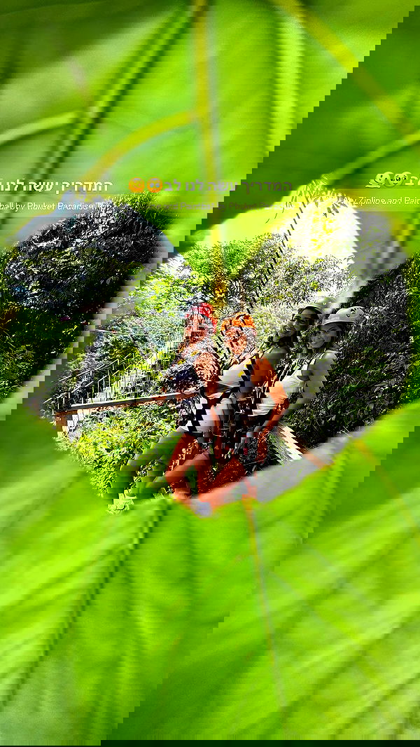 maayan.shaibi image ~ Altpins