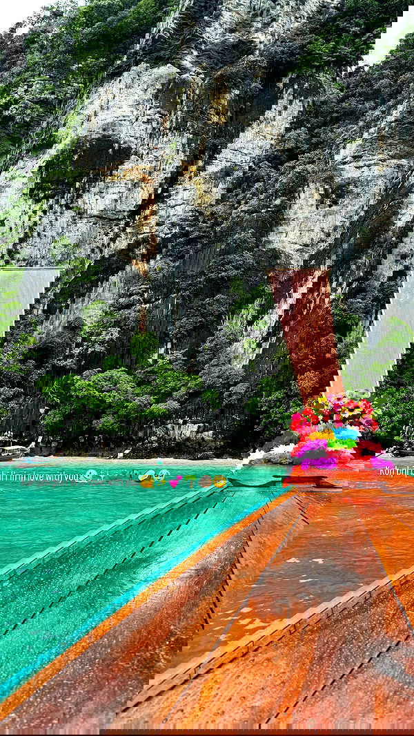 maayan.shaibi image ~ Altpins