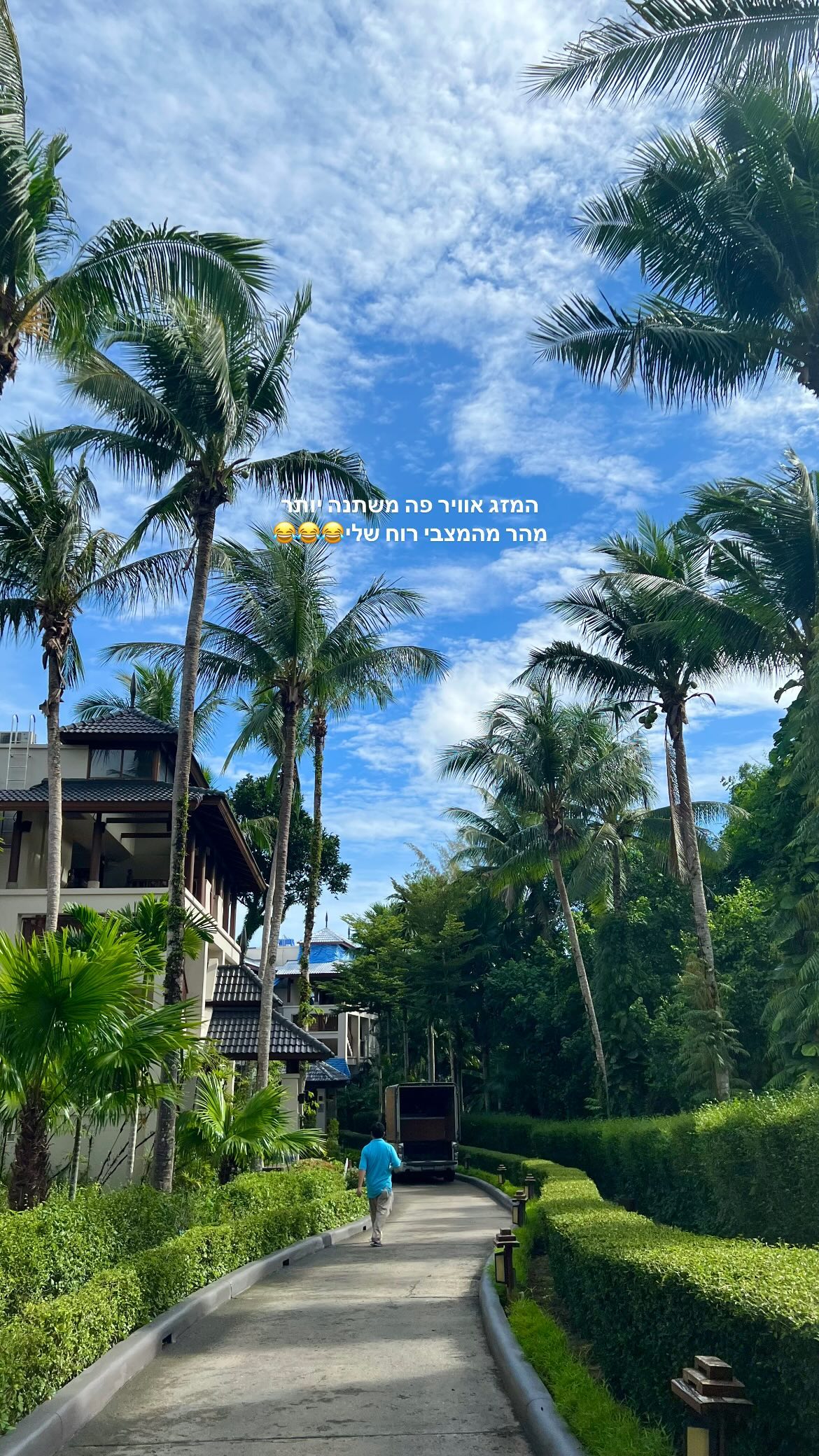 maayan.shaibi instagram image archive image