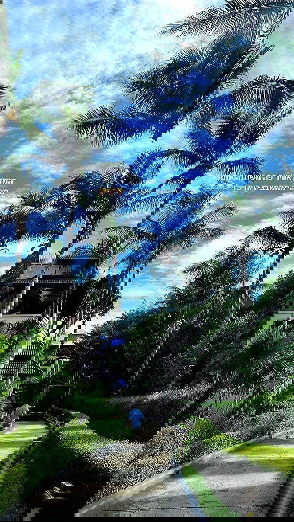 maayan.shaibi image ~ Altpins