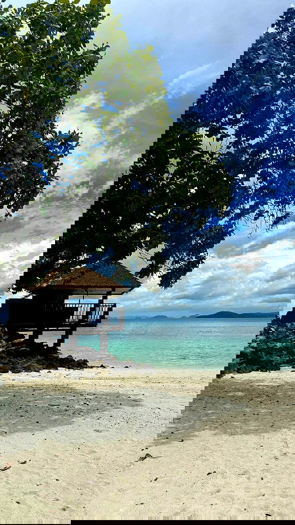 maayan.shaibi image ~ Altpins