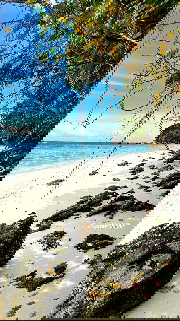 maayan.shaibi image ~ Altpins