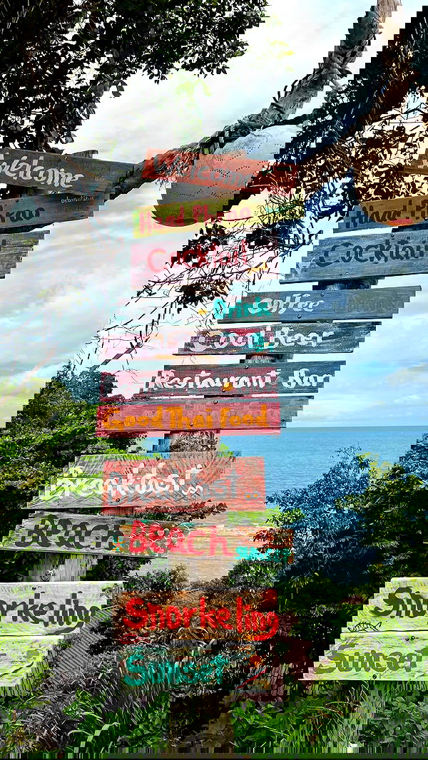 maayan.shaibi image ~ Altpins