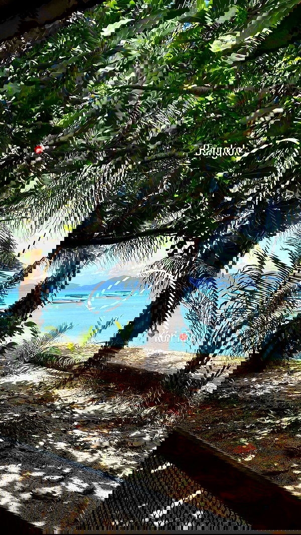 maayan.shaibi image ~ Altpins