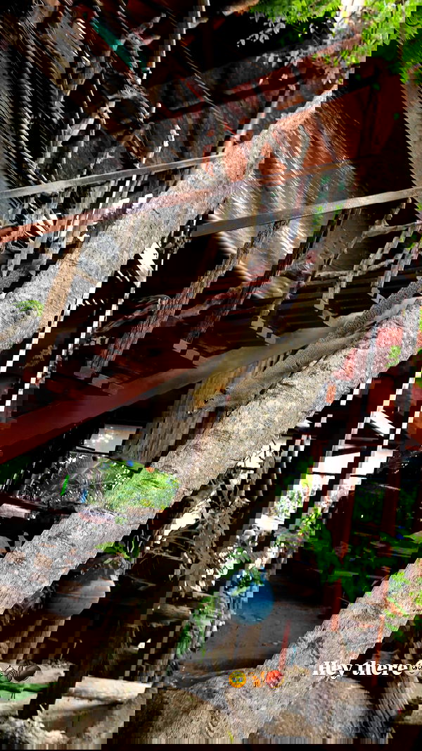 maayan.shaibi image ~ Altpins