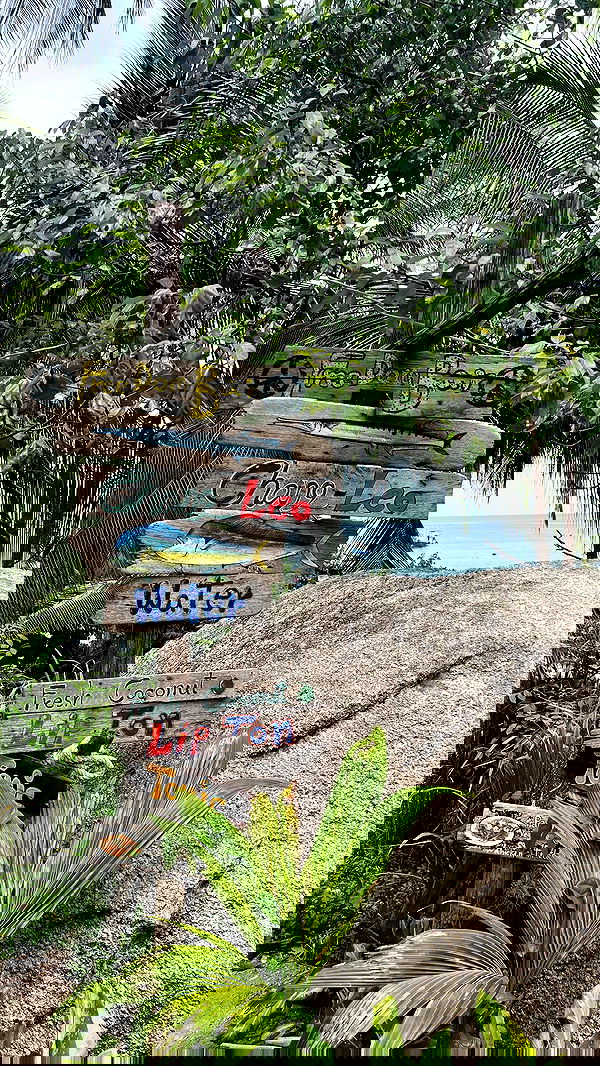 maayan.shaibi image ~ Altpins