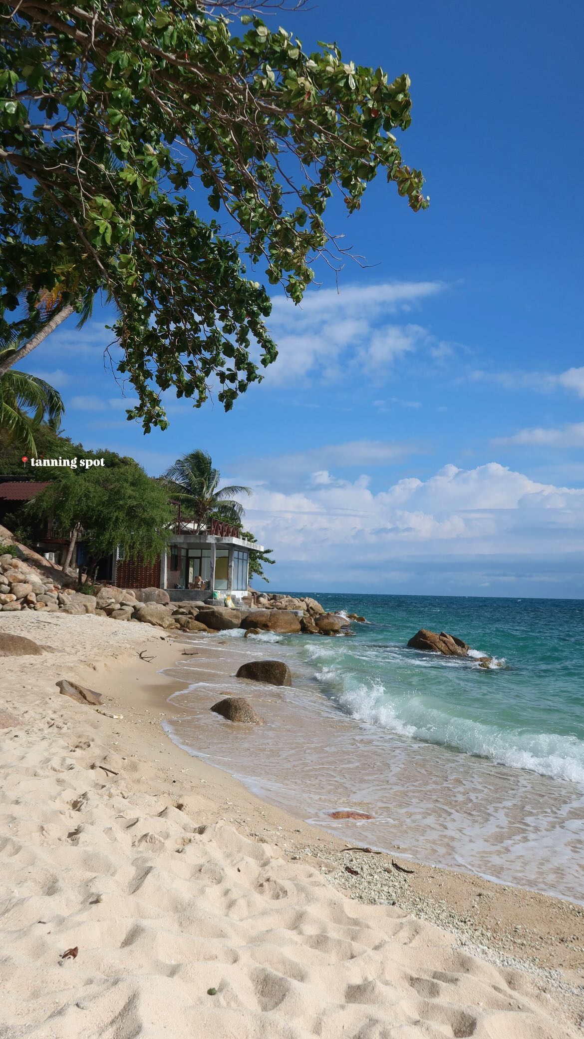 maayan.shaibi instagram image archive image