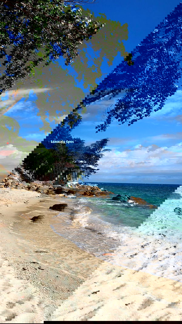 maayan.shaibi image ~ Altpins