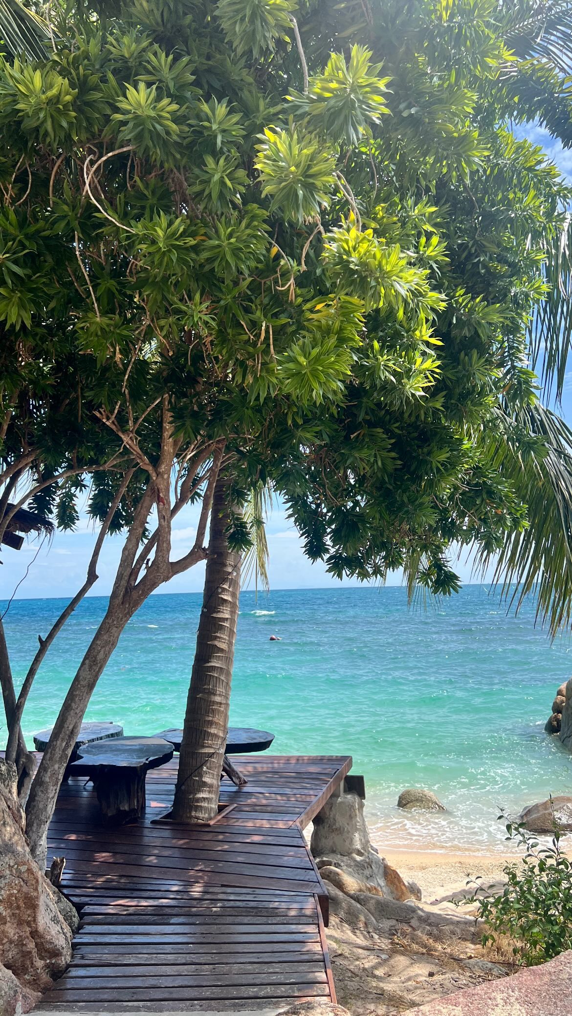 maayan.shaibi instagram image archive image