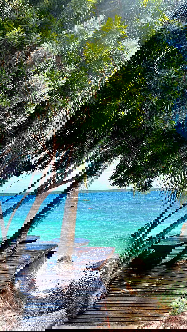 maayan.shaibi image ~ Altpins