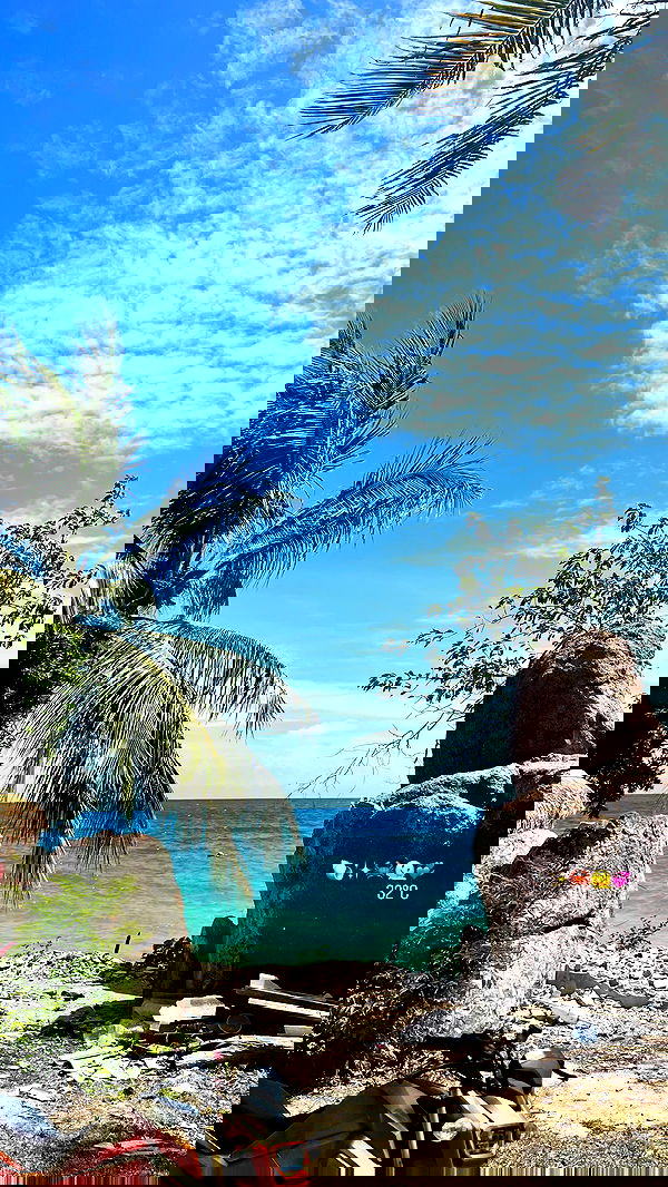 maayan.shaibi image ~ Altpins