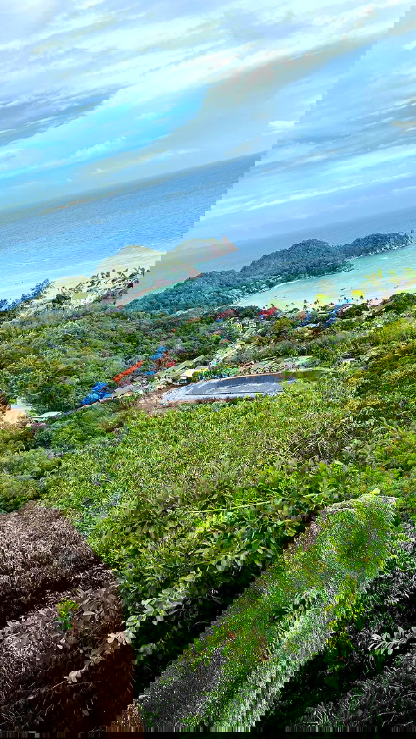 maayan.shaibi image ~ Altpins