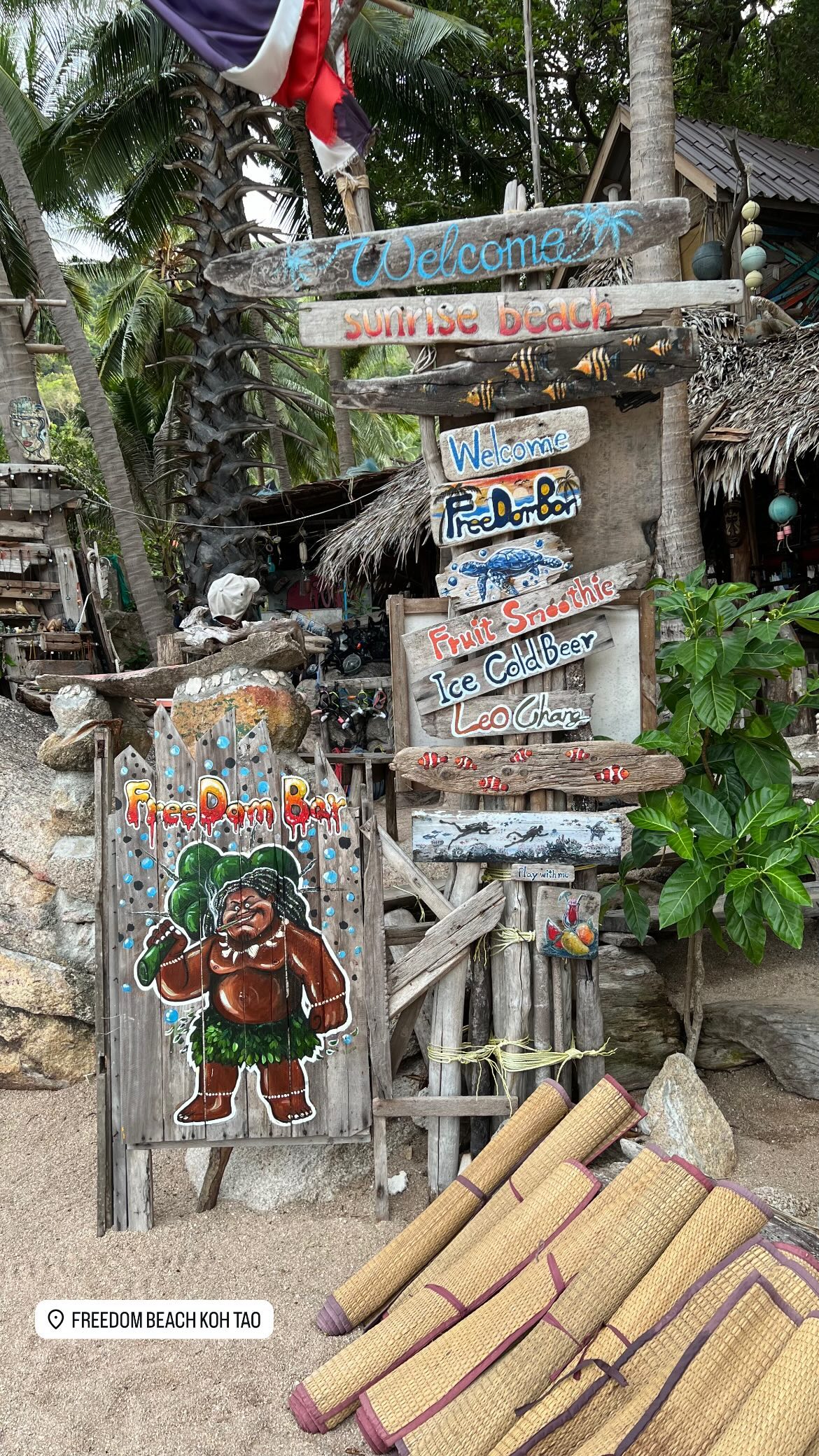 maayan.shaibi instagram image archive image