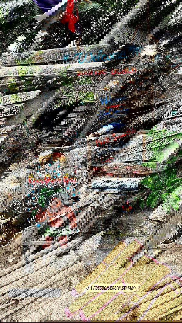 maayan.shaibi image ~ Altpins