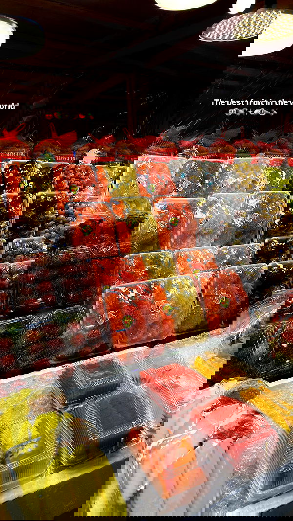 maayan.shaibi image ~ Altpins