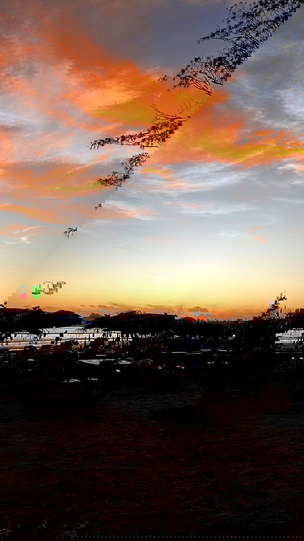 maayan.shaibi image ~ Altpins