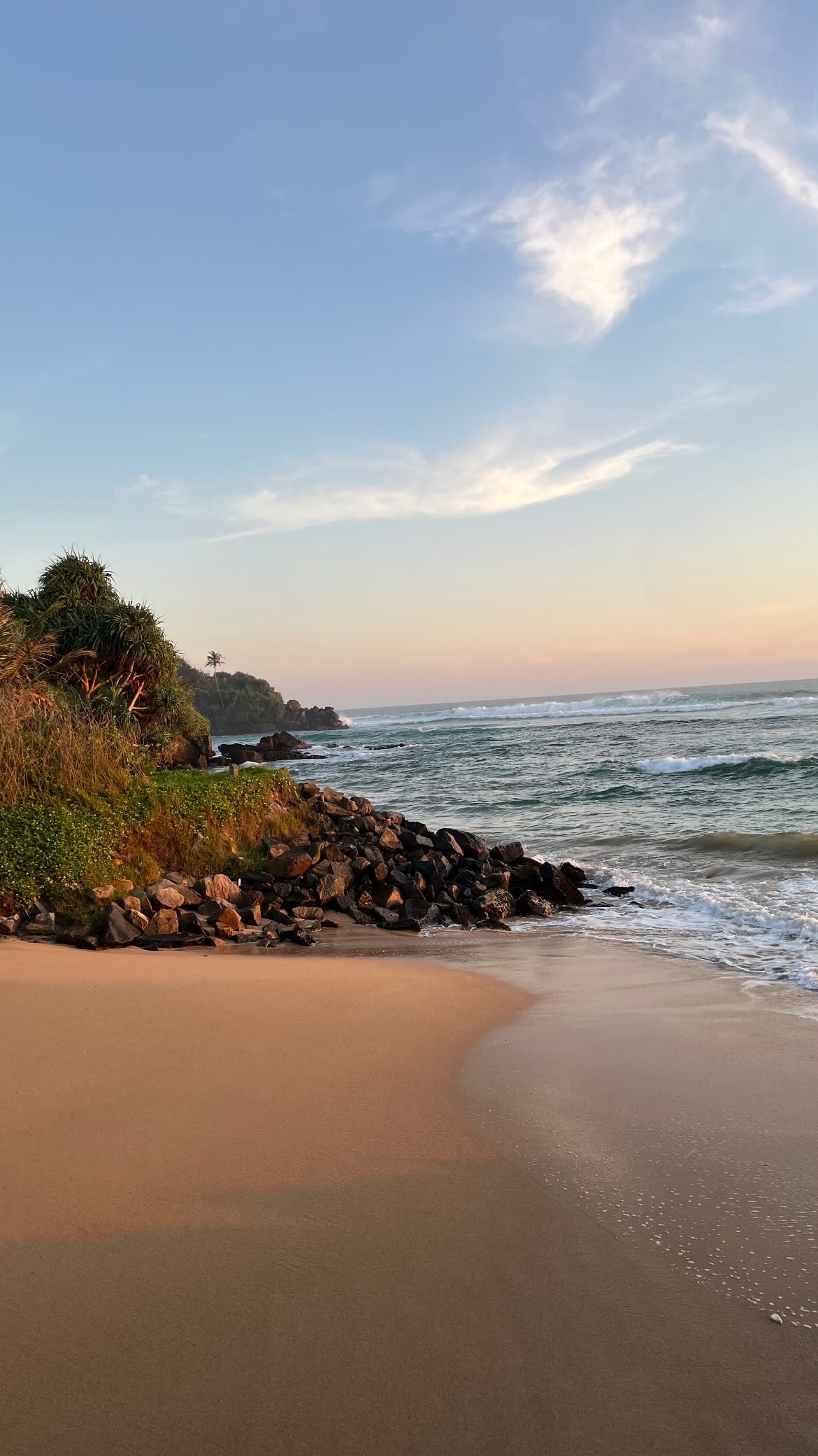 maayan.shaibi instagram image archive image