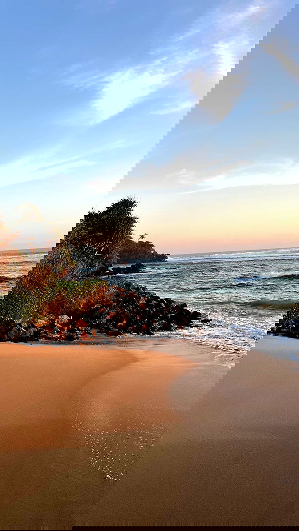 maayan.shaibi image ~ Altpins