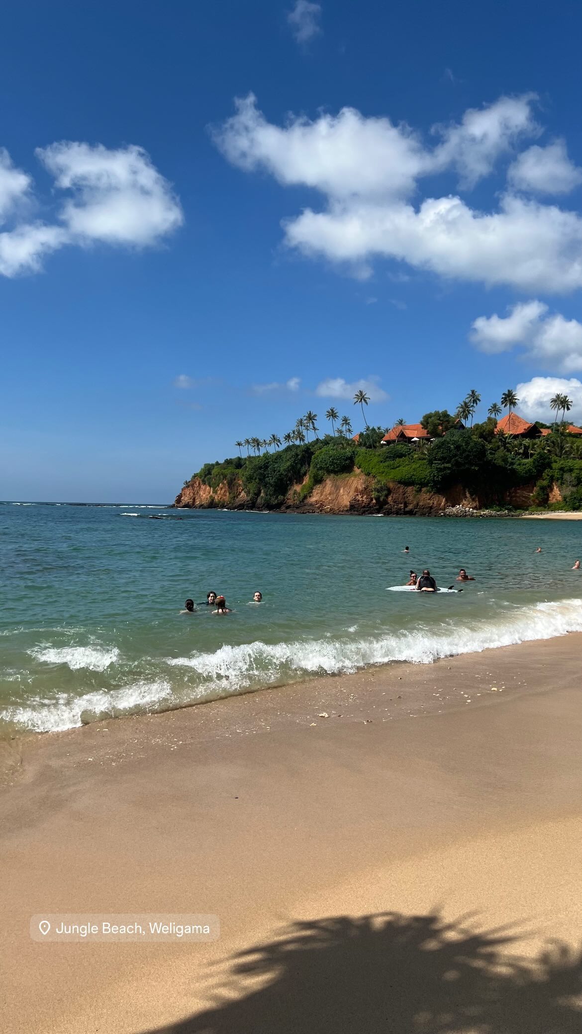 maayan.shaibi instagram image archive image