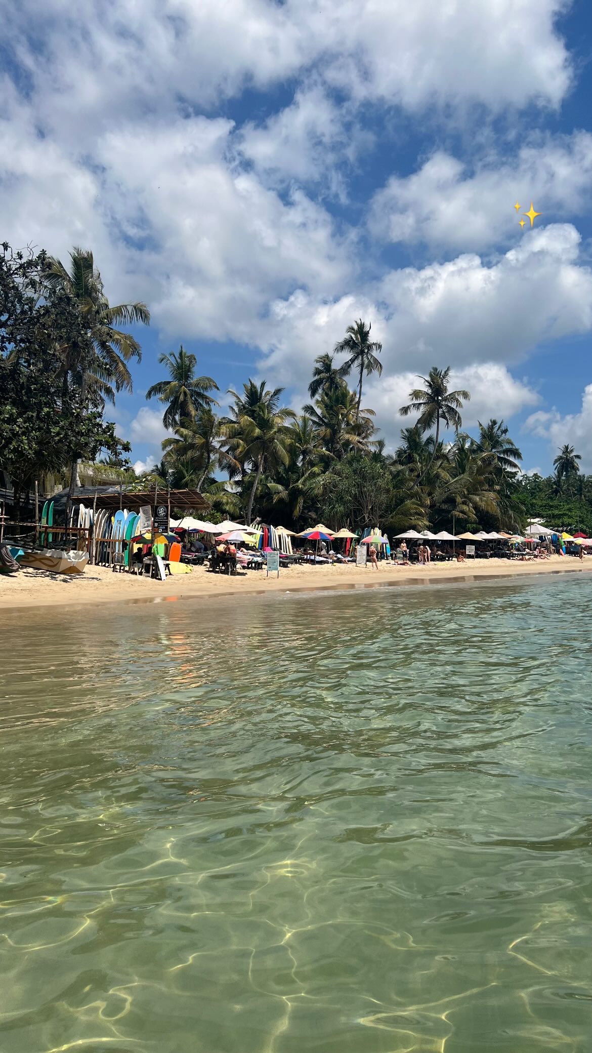 maayan.shaibi instagram image archive image