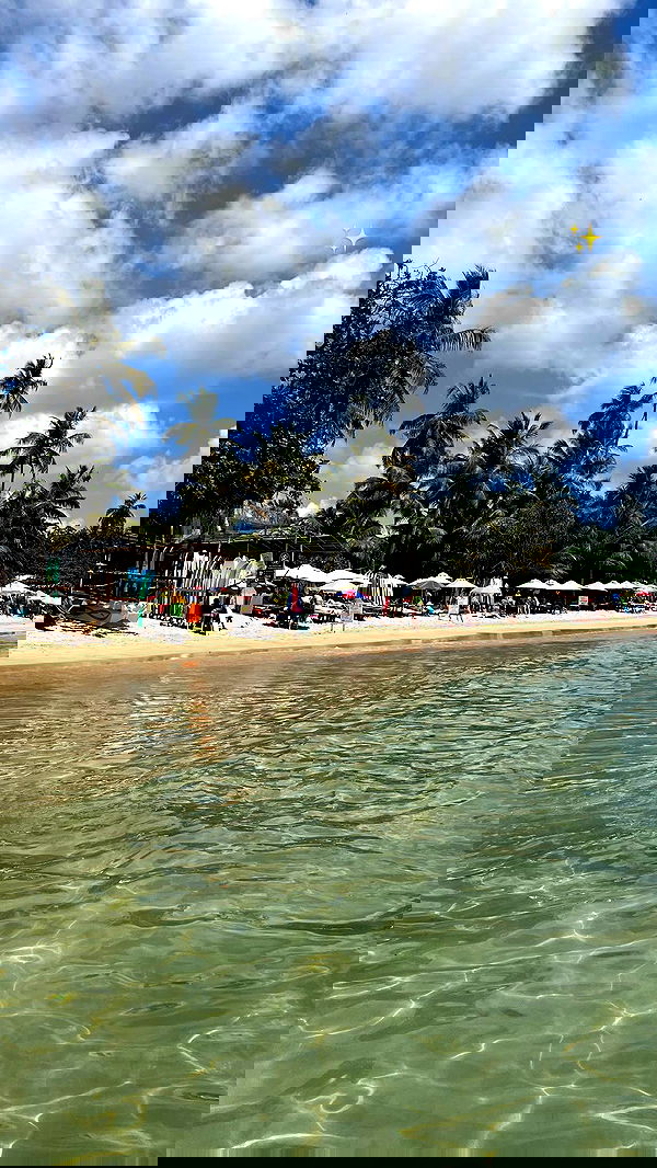 maayan.shaibi image ~ Altpins