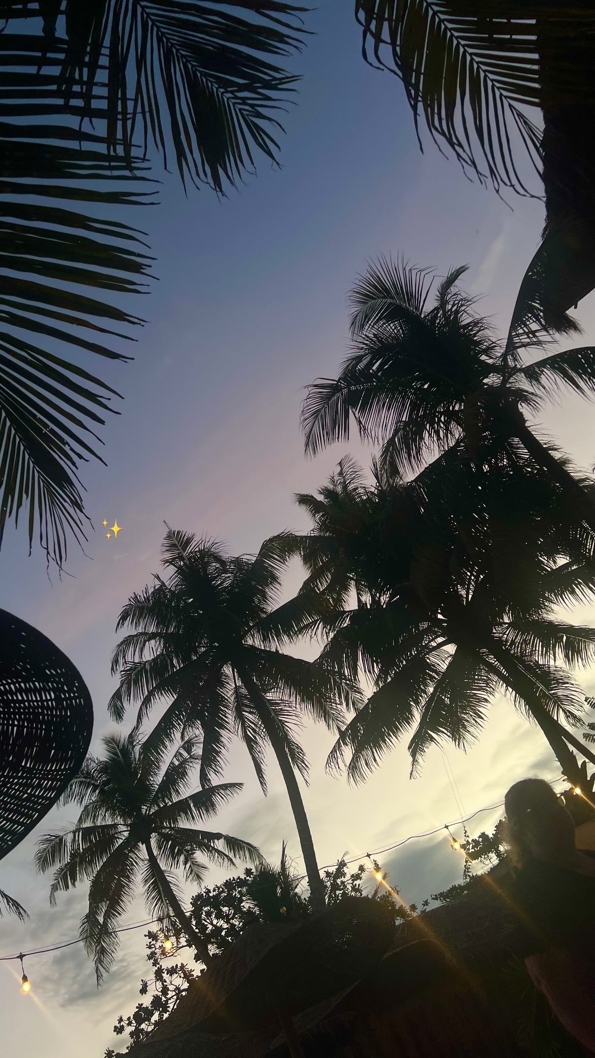 maayan.shaibi instagram image archive image