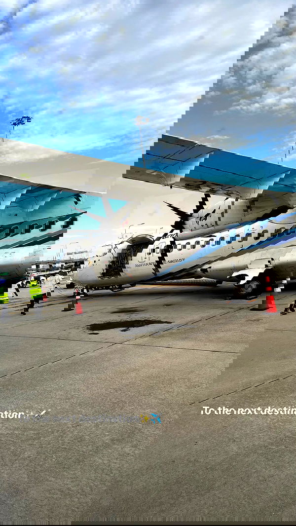 maayan.shaibi image ~ Altpins