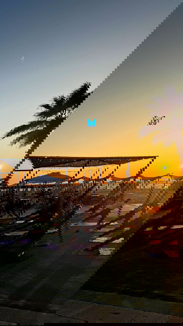 maayan.shaibi image ~ Altpins