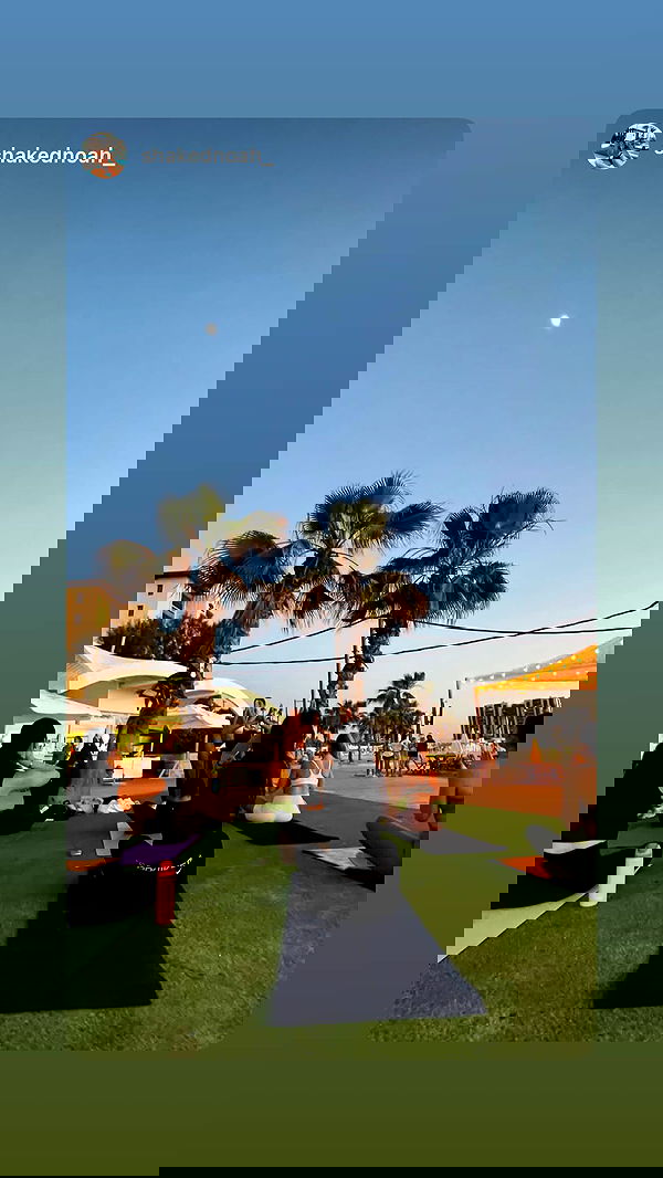 maayan.shaibi image ~ Altpins