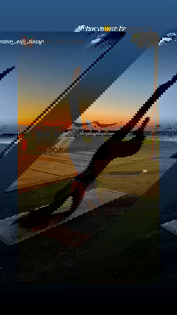 maayan.shaibi image ~ Altpins