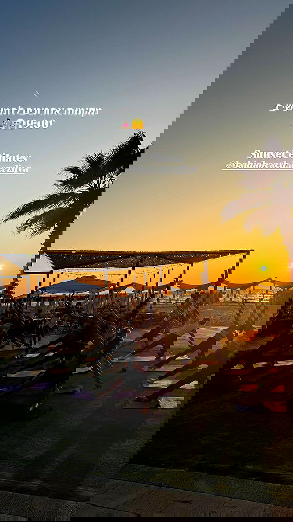 maayan.shaibi image ~ Altpins