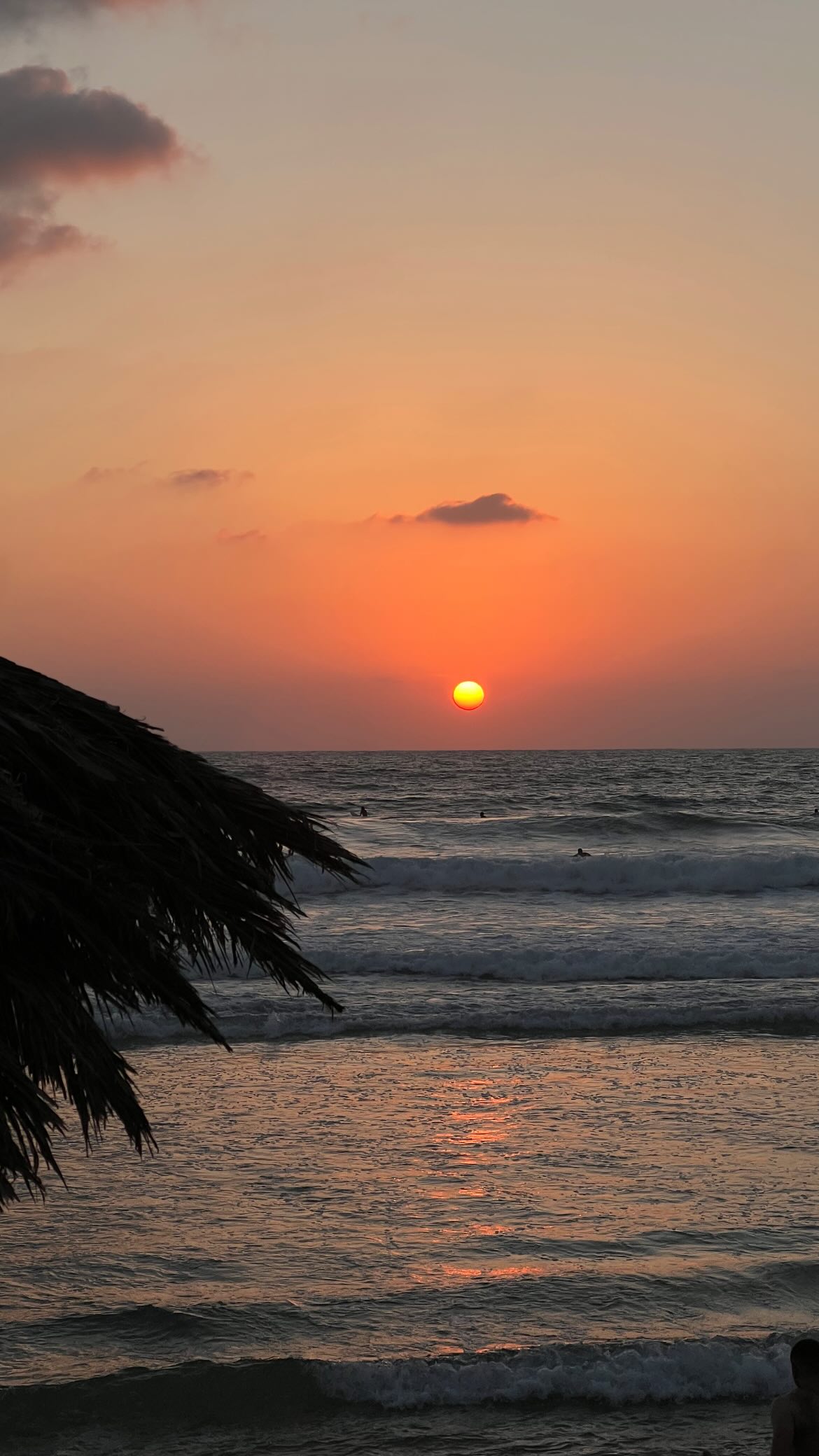 maayan.shaibi instagram image archive image