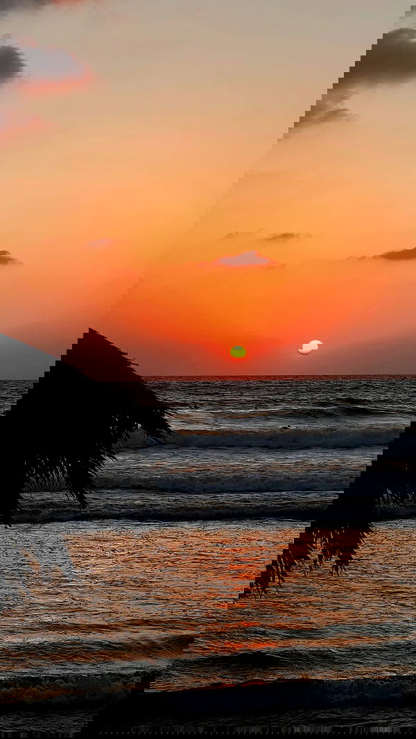 maayan.shaibi image ~ Altpins