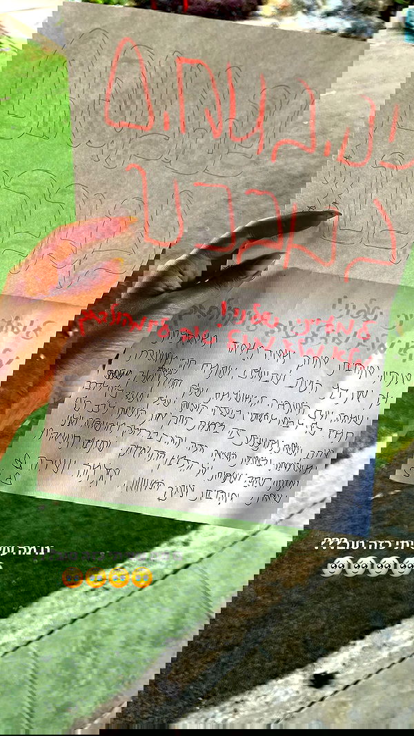 maayan.shaibi image ~ Altpins