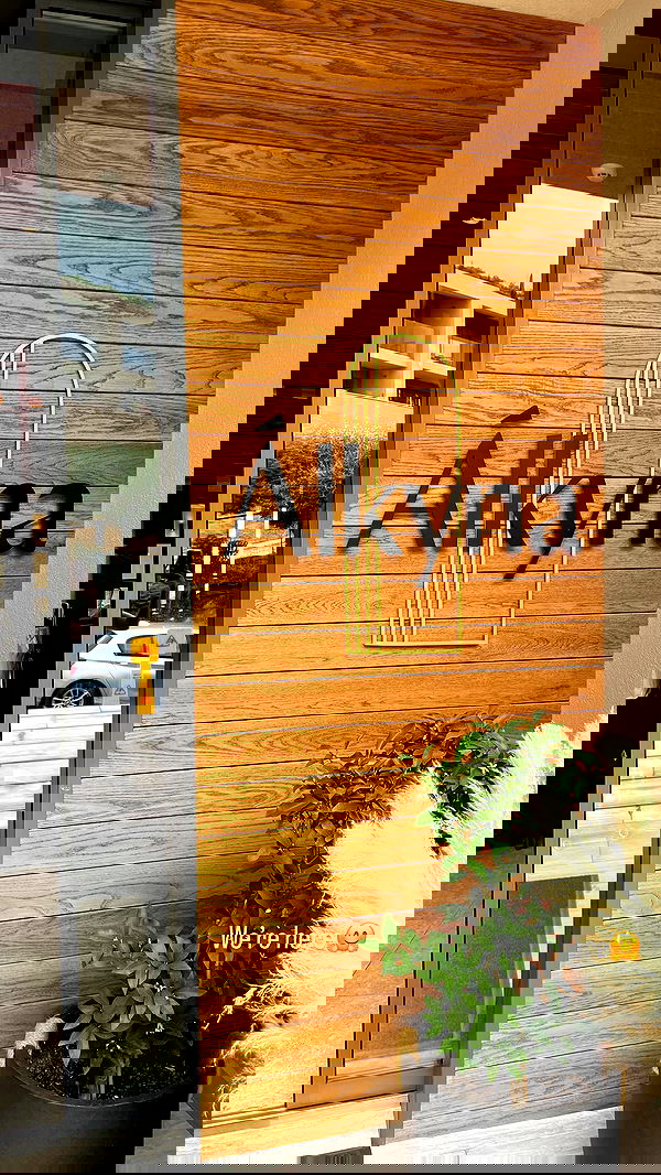 maayan.shaibi image ~ Altpins