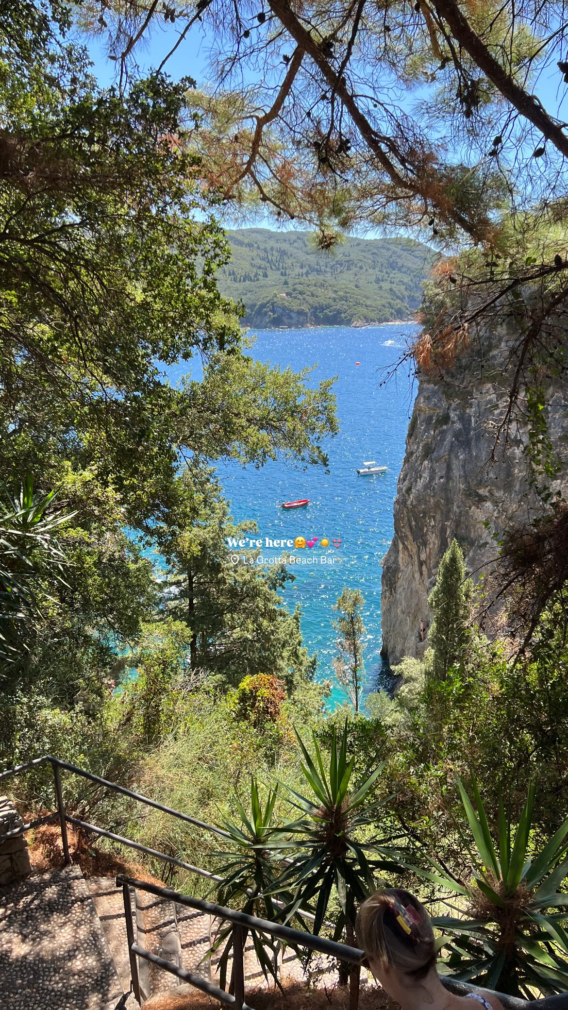 maayan.shaibi instagram image archive image