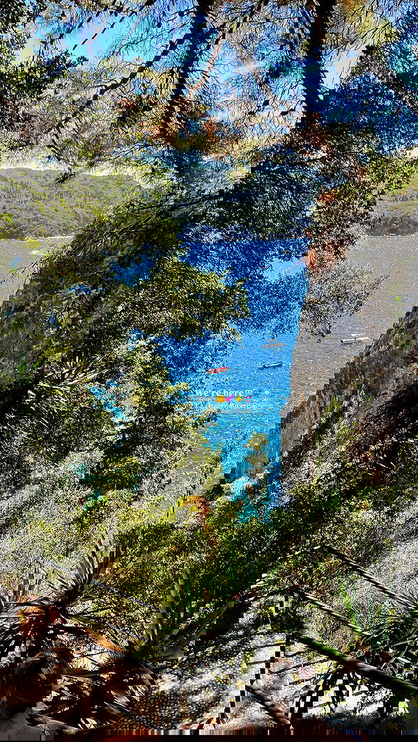 maayan.shaibi image ~ Altpins