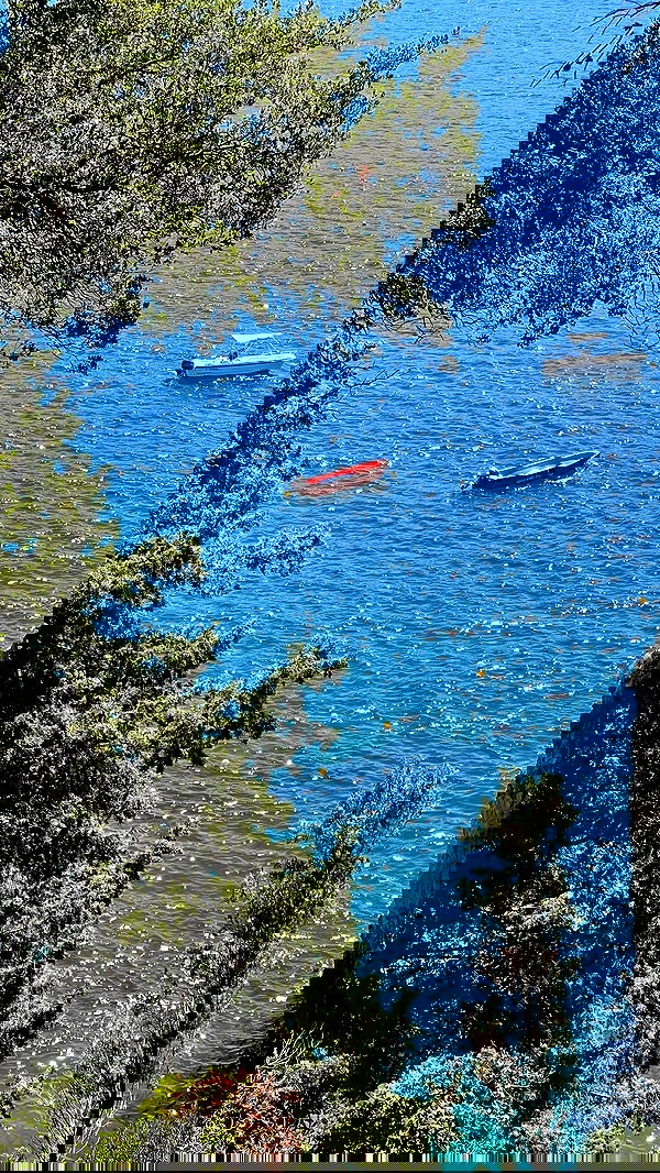 maayan.shaibi image ~ Altpins