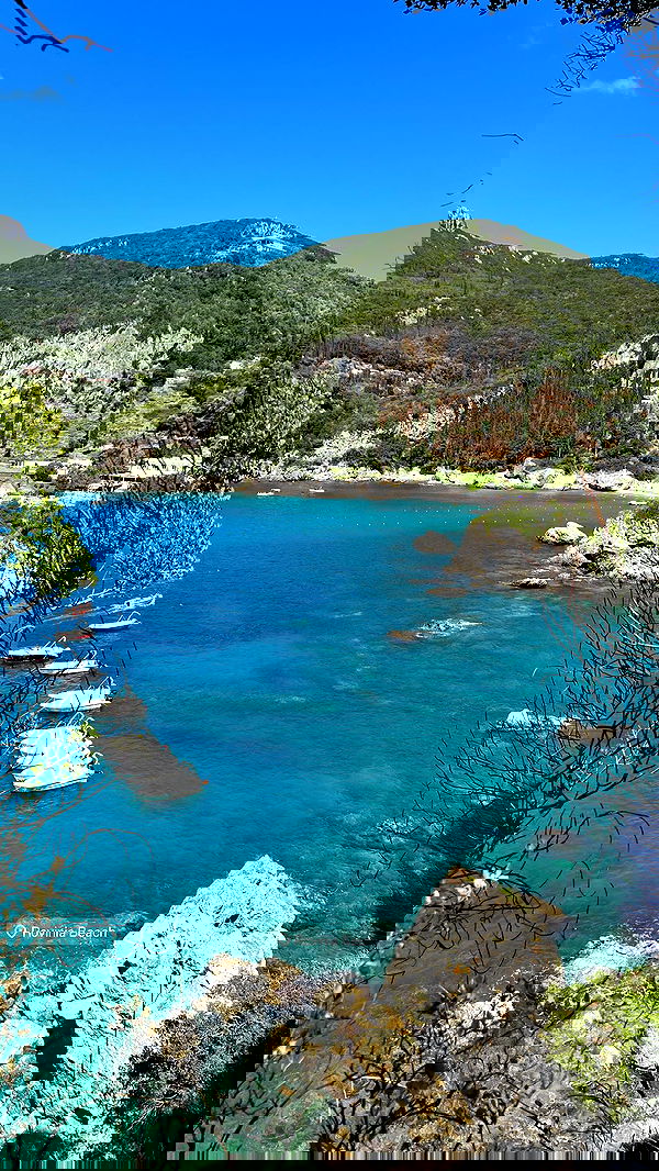 maayan.shaibi image ~ Altpins