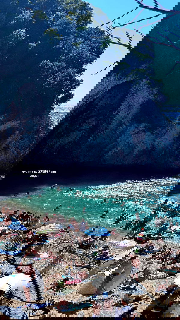 maayan.shaibi image ~ Altpins