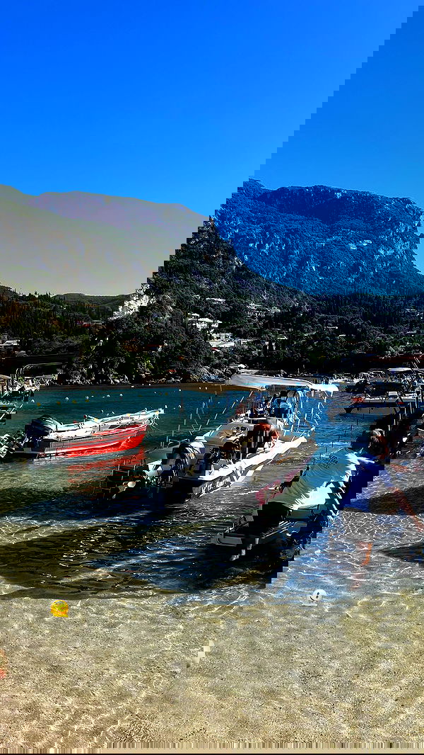 maayan.shaibi image ~ Altpins