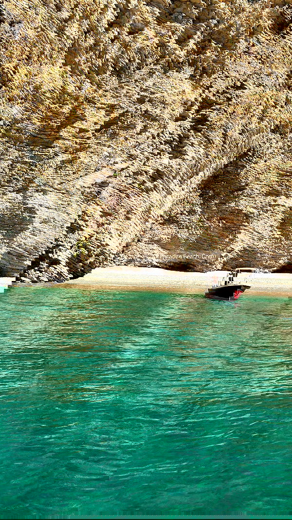 maayan.shaibi image ~ Altpins