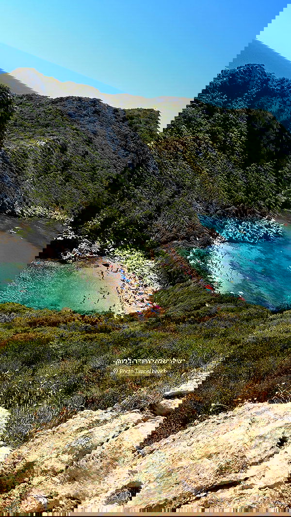 maayan.shaibi image ~ Altpins