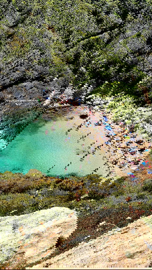 maayan.shaibi image ~ Altpins