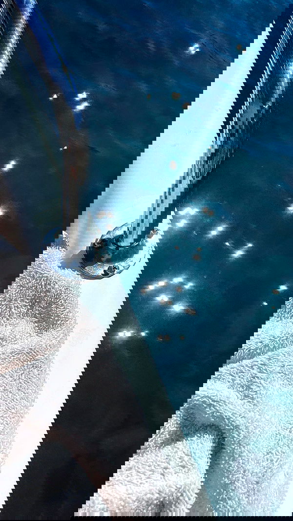 maayan.shaibi image ~ Altpins